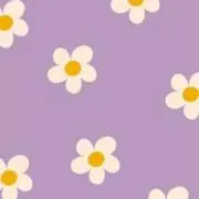 ばばちゃんの画像