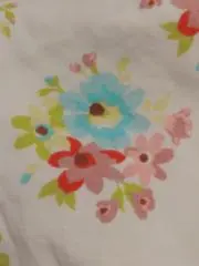 はるの画像