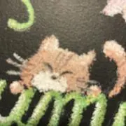 すみりんの画像
