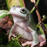 ズノ☆の画像