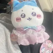 ぴぴこの画像