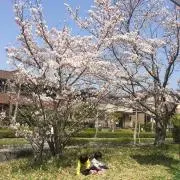 yunkaa♡の画像