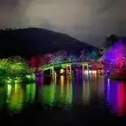 ☆イモの画像
