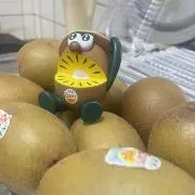 pokapoka1126の画像