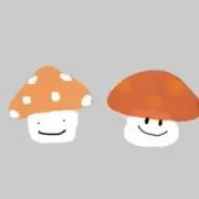 まゆたろの画像