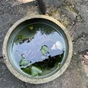 A.O.Tの画像