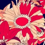 もち吉の画像