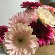 mimoza☆akiの画像