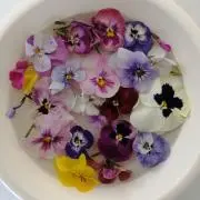ほなえり【フォロー割実施中】の画像