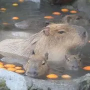 くりりん