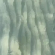 すん