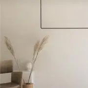 15の画像