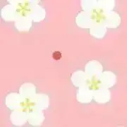 たいやきの画像