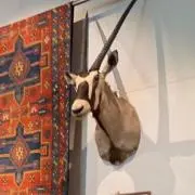 namisanの画像