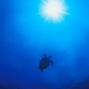 HJSの画像