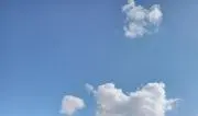 まめなの画像