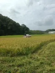 木多崇将の画像