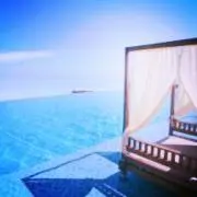 ライラックの画像
