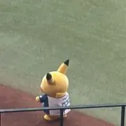 ぱっぽーの画像