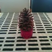 ここちゃん