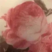 rosypinku