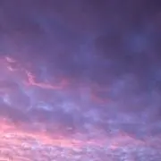 アリんこの画像