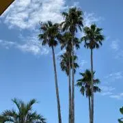 Aの画像