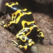ドキドキの画像