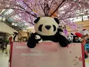 名古屋ZOO