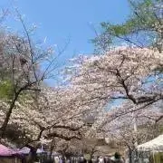 まるまるの画像