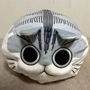 Kの画像
