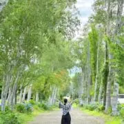 hiyuuuの画像