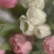 よる。【断捨離中】の画像