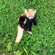 古着屋佐藤の画像