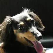 ルナ