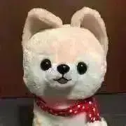 ヨロジフの画像