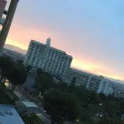 ところてん