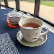 ソアリの画像