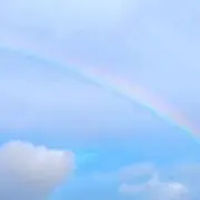 ころりんの画像
