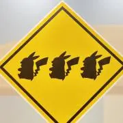 せーの画像