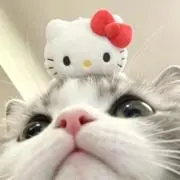 Ｋの画像
