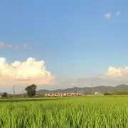 けいママ