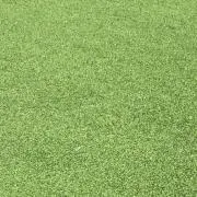 ヒマ