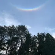 キャロル