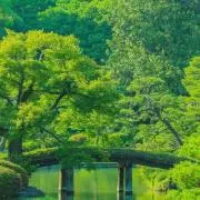 ユウの画像