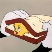 sz