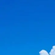 あおの画像