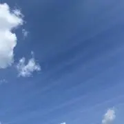 ゆの画像