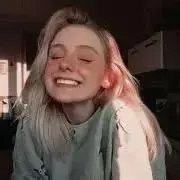 ヒツジの画像
