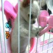 まーさkun